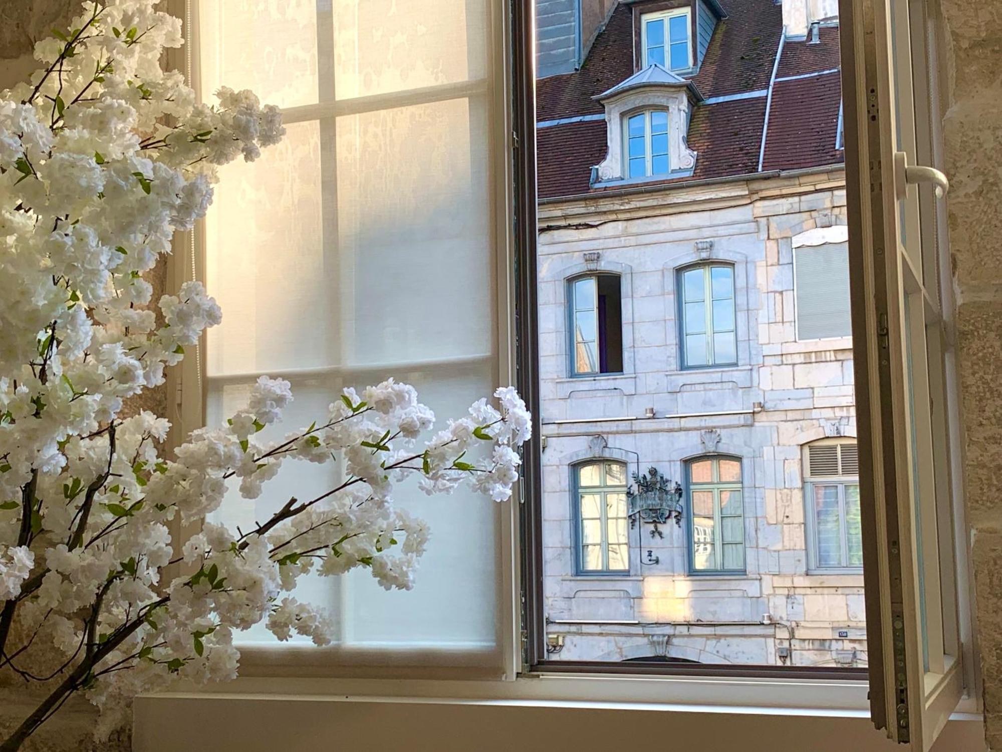Les Fabuleux Appartements Du Coeur De Ville - Place Victor Hugo Besanzón Exterior foto